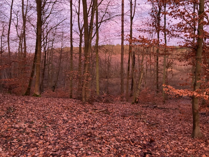 Stille Natur